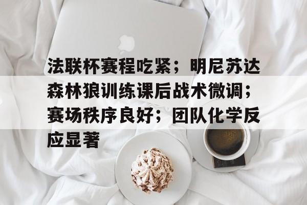 包含法联杯赛程吃紧；明尼苏达森林狼训练课后战术微调；赛场秩序良好；团队化学反应显著的词条