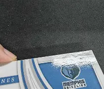 开云体育官方网-孟菲斯灰熊队